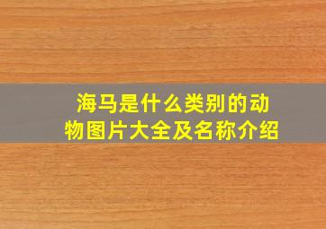 海马是什么类别的动物图片大全及名称介绍