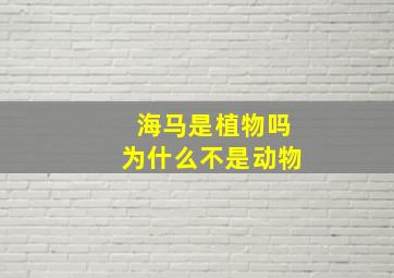 海马是植物吗为什么不是动物