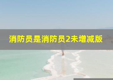 消防员是消防员2未增减版