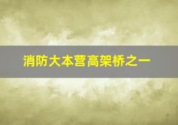 消防大本营高架桥之一