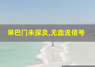 淋巴门未探及,无血流信号