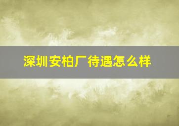 深圳安柏厂待遇怎么样