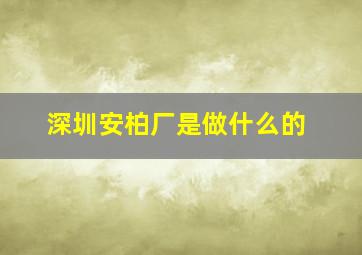 深圳安柏厂是做什么的