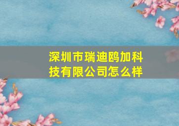 深圳市瑞迪鸥加科技有限公司怎么样