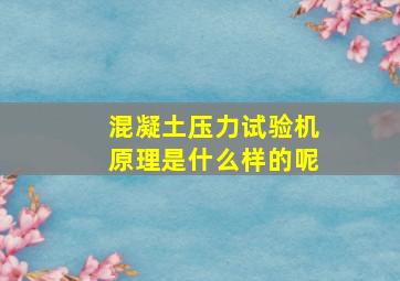 混凝土压力试验机原理是什么样的呢