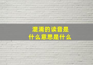 混淆的读音是什么意思是什么