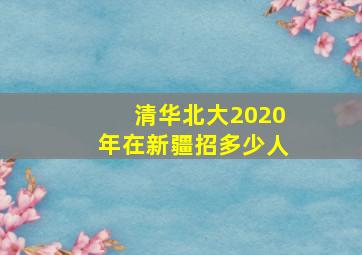 清华北大2020年在新疆招多少人