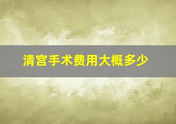 清宫手术费用大概多少