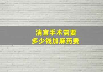 清宫手术需要多少钱加麻药费