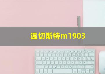 温切斯特m1903