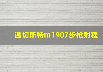 温切斯特m1907步枪射程