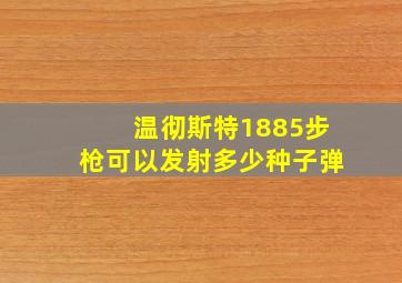 温彻斯特1885步枪可以发射多少种子弹