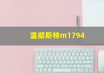 温彻斯特m1794