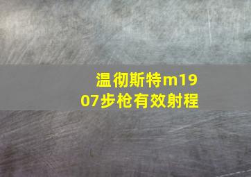 温彻斯特m1907步枪有效射程