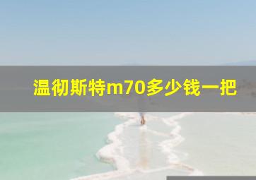 温彻斯特m70多少钱一把