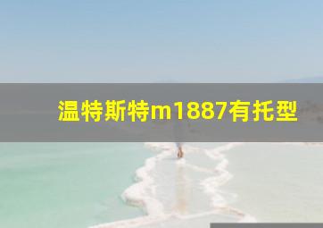 温特斯特m1887有托型