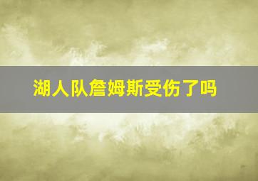 湖人队詹姆斯受伤了吗