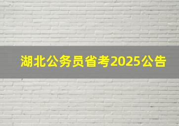 湖北公务员省考2025公告