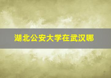 湖北公安大学在武汉哪