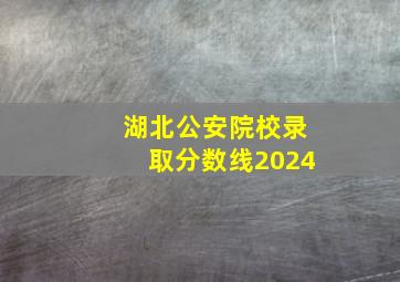 湖北公安院校录取分数线2024