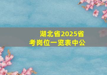 湖北省2025省考岗位一览表中公