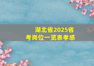 湖北省2025省考岗位一览表孝感