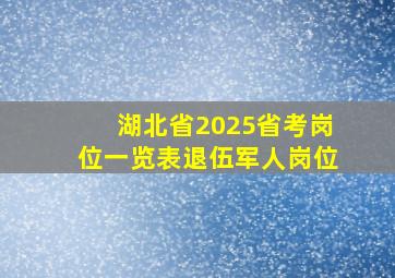 湖北省2025省考岗位一览表退伍军人岗位