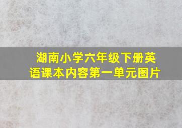 湖南小学六年级下册英语课本内容第一单元图片