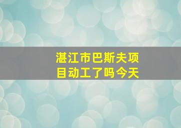 湛江市巴斯夫项目动工了吗今天