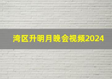 湾区升明月晚会视频2024