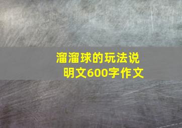 溜溜球的玩法说明文600字作文