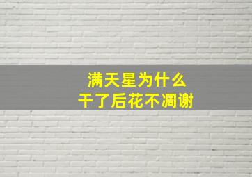 满天星为什么干了后花不凋谢