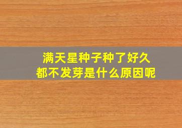 满天星种子种了好久都不发芽是什么原因呢