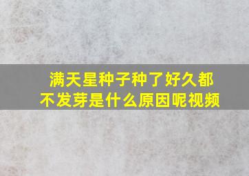 满天星种子种了好久都不发芽是什么原因呢视频