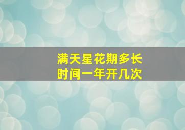 满天星花期多长时间一年开几次