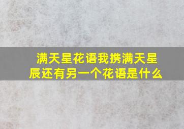 满天星花语我携满天星辰还有另一个花语是什么