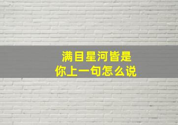 满目星河皆是你上一句怎么说