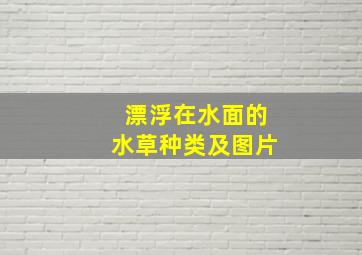 漂浮在水面的水草种类及图片