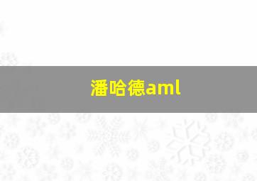 潘哈德aml