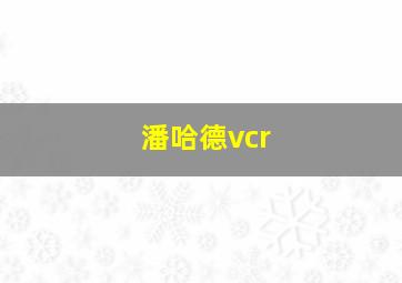 潘哈德vcr