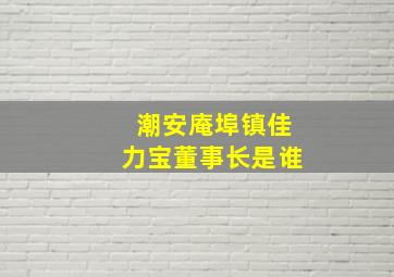 潮安庵埠镇佳力宝董事长是谁