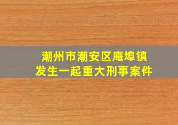 潮州市潮安区庵埠镇发生一起重大刑事案件