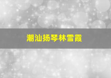 潮汕扬琴林雪霞