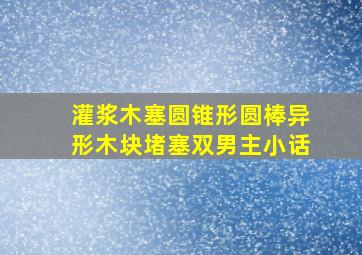 灌浆木塞圆锥形圆棒异形木块堵塞双男主小话