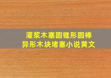 灌浆木塞圆锥形圆棒异形木块堵塞小说黄文