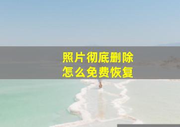 照片彻底删除怎么免费恢复