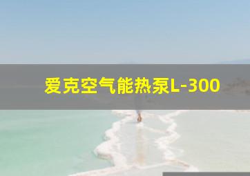 爱克空气能热泵L-300