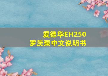 爱德华EH250罗茨泵中文说明书