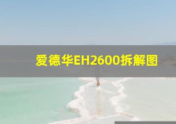 爱德华EH2600拆解图