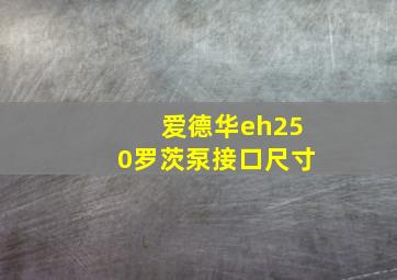 爱德华eh250罗茨泵接口尺寸